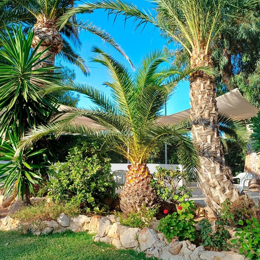 jardines-villa-naranjos